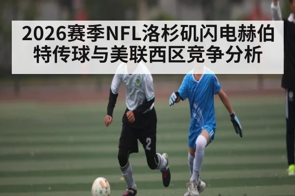 2026赛季NFL洛杉矶闪电赫伯特传球与美联西区竞争分析（OD）